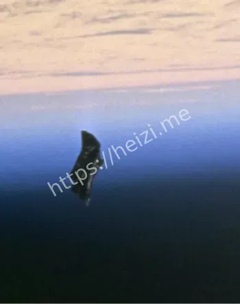 黑骑士卫星传说