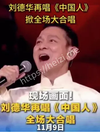 刘德华演唱会中国人